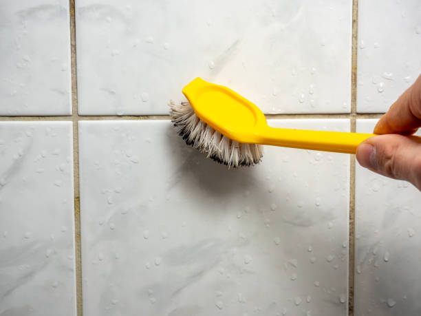 Best Best Mold Removal Companies  in Princeton, KY