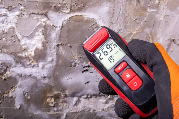 Best Water Damage Restoration  in Princeton, KY